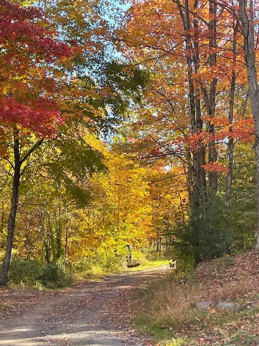 Beaver Lakes Campground 6