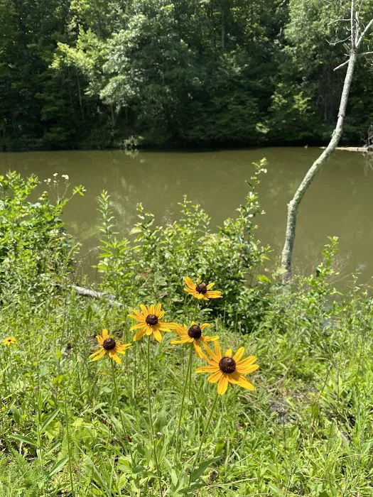 Beaver Lakes Campground 10