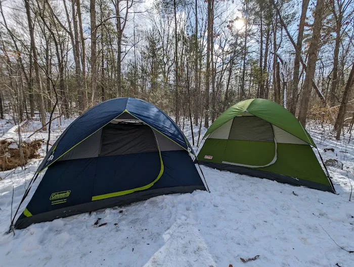 Ice D Campsite 8