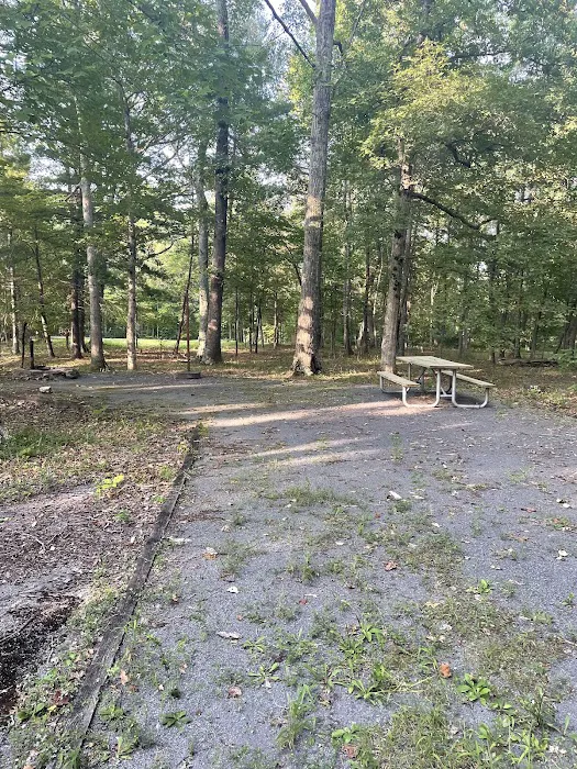 Camp Roosevelt Recreation Area 5