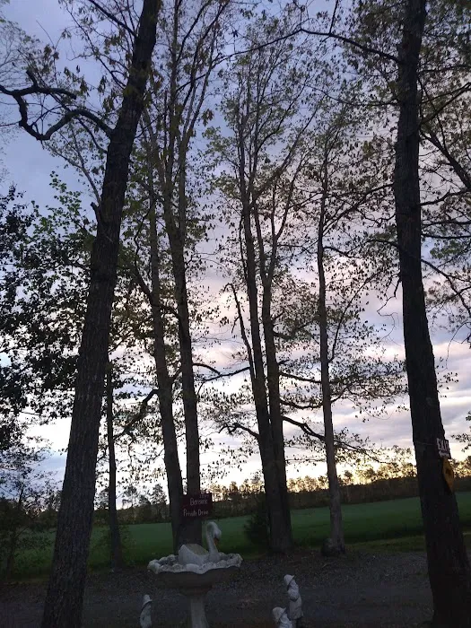 R & D Family Campground 1