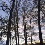 R & D Family Campground