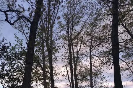 R & D Family Campground