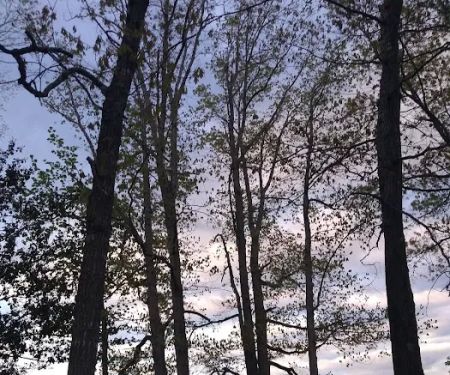 R & D Family Campground