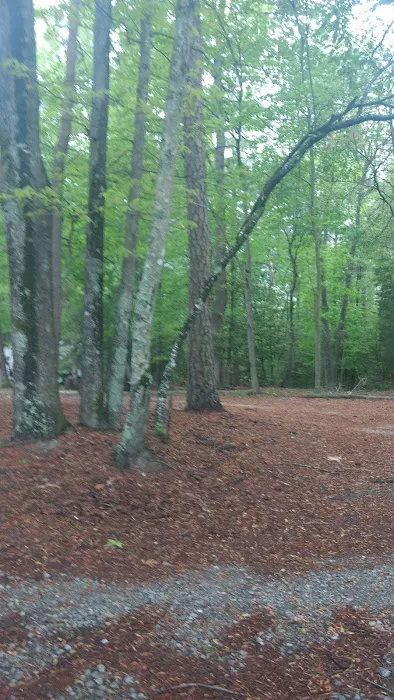R & D Family Campground 4