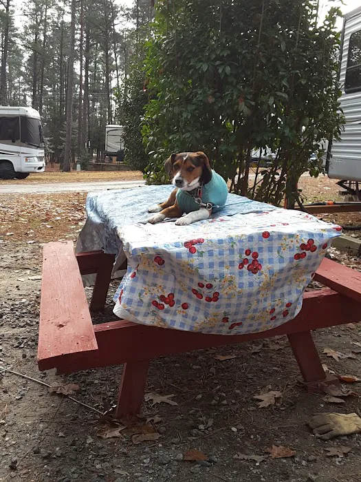 R & D Family Campground 5