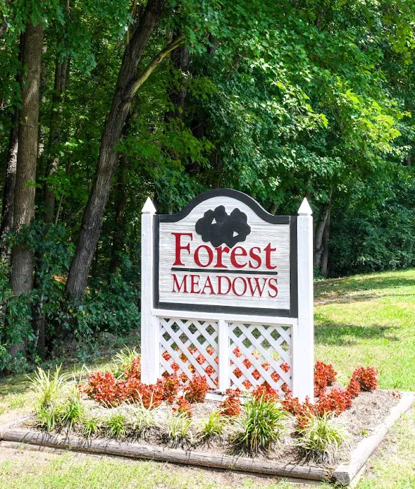 Forest Meadows 1