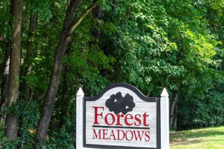 Forest Meadows