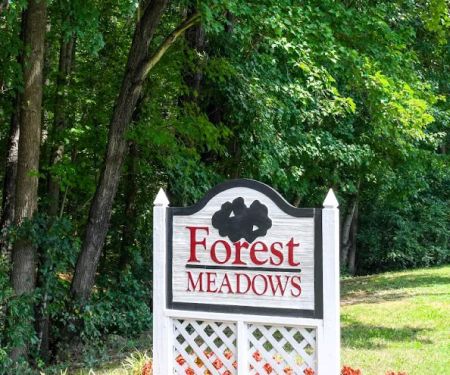 Forest Meadows