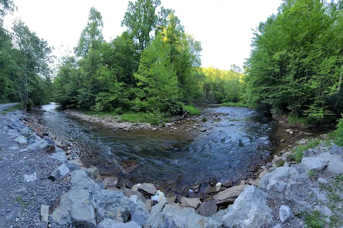 Lower Glady Dispersed Campground 3