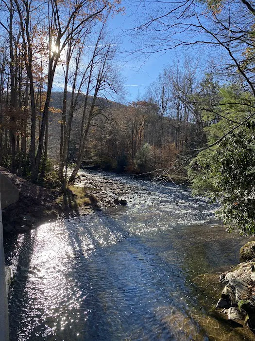 Lower Glady Dispersed Campground 2