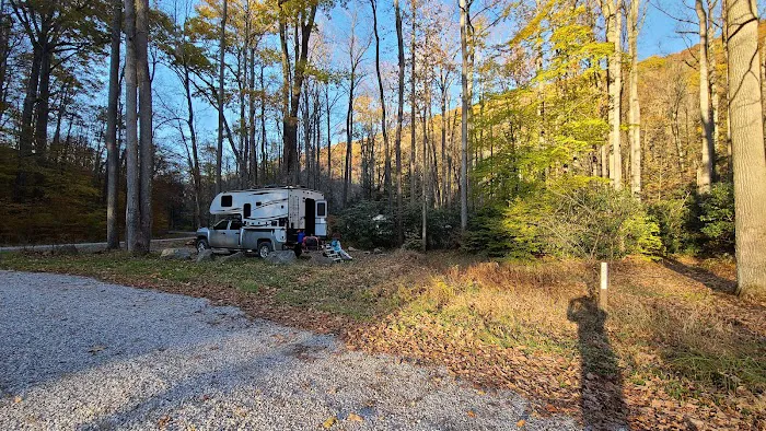 Lower Glady Dispersed Campground 1