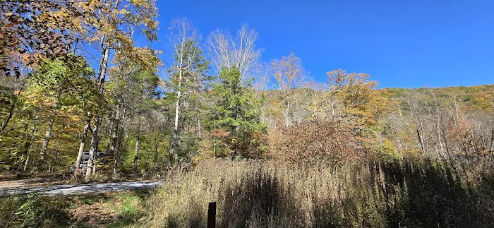 Lower Glady Dispersed Campground 8