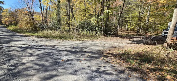Lower Glady Dispersed Campground 9