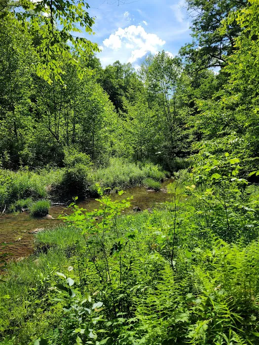 Lower Glady Dispersed Campground 6