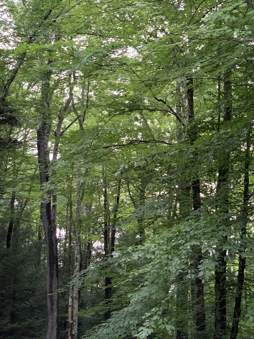 Canaan Valley Resort Campground 8