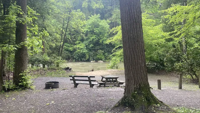 Audra State Park Campground 3