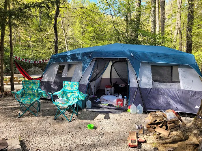 Audra State Park Campground 4