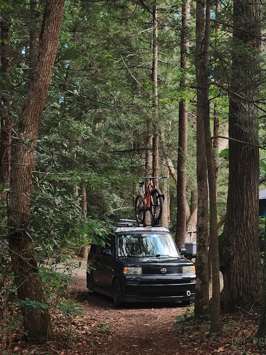 Audra State Park Campground 10