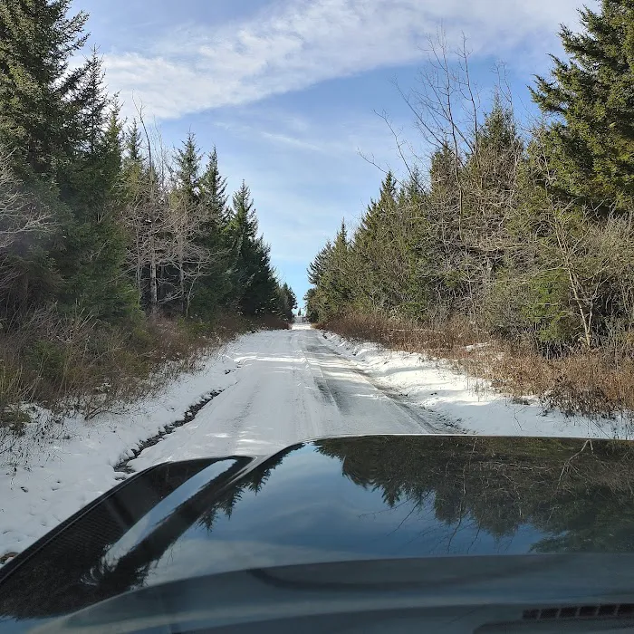 Red Creek Campground 10