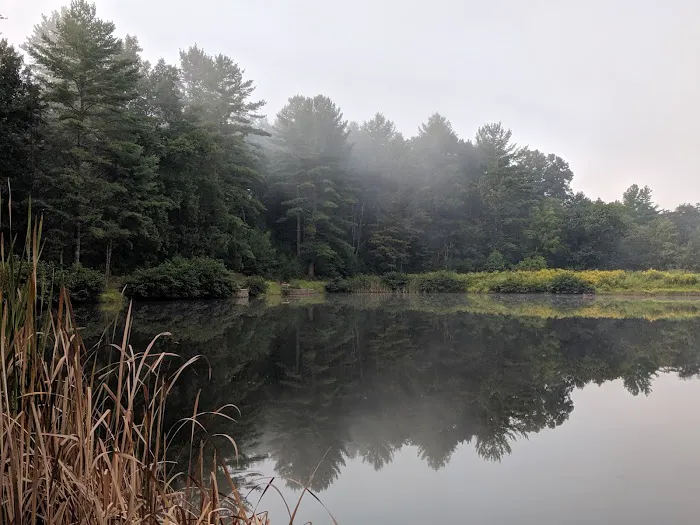Tomahawk Pond Campground 1