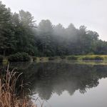 Tomahawk Pond Campground