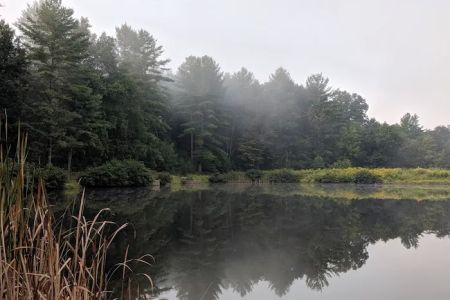 Tomahawk Pond Campground