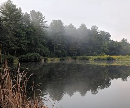 Tomahawk Pond Campground