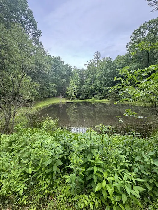 Tomahawk Pond Campground 3