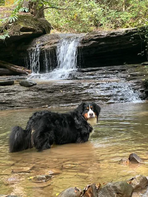 Baker's Run Campground 4