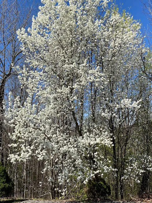 Flatwoods KOA Journey 9