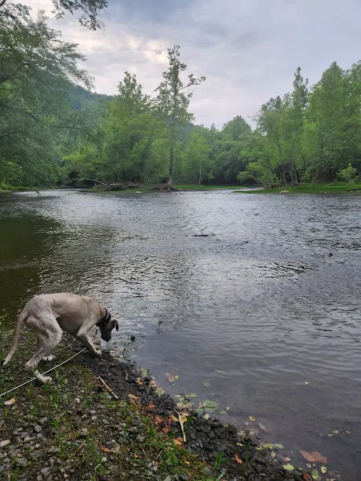 Elk River Camp and RV 5