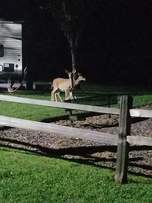 Riffle Run Campground 5