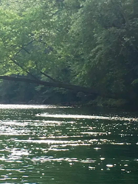 Elk River Campground 5