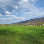 Riverside Cabins & RV Park