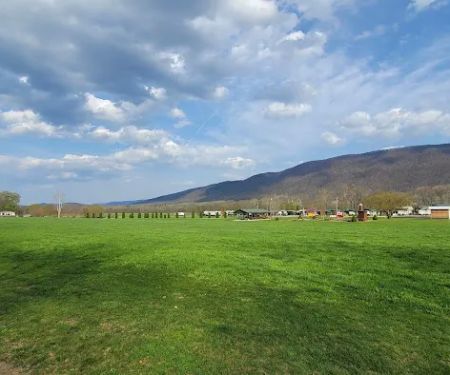 Riverside Cabins & RV Park