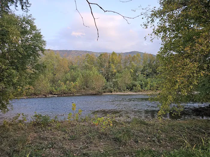 Riverside Cabins & RV Park 7
