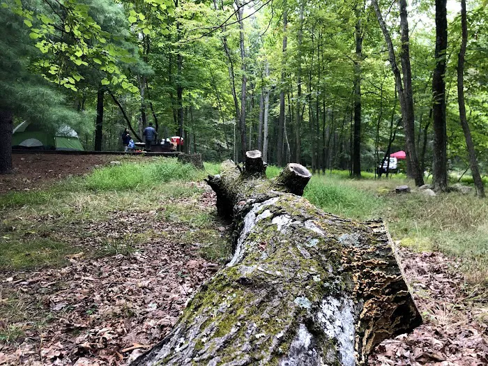 Trout Pond Campground 3