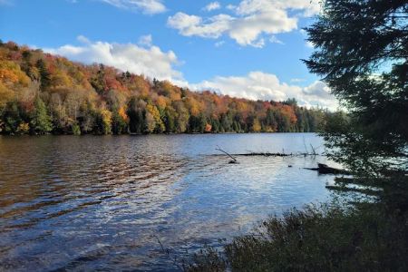 Trout Pond Campground