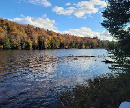 Trout Pond Campground