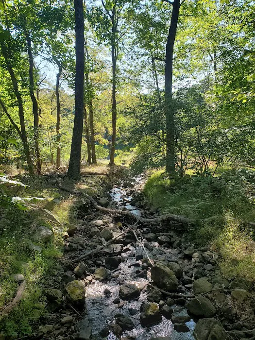 Trout Pond Campground 5