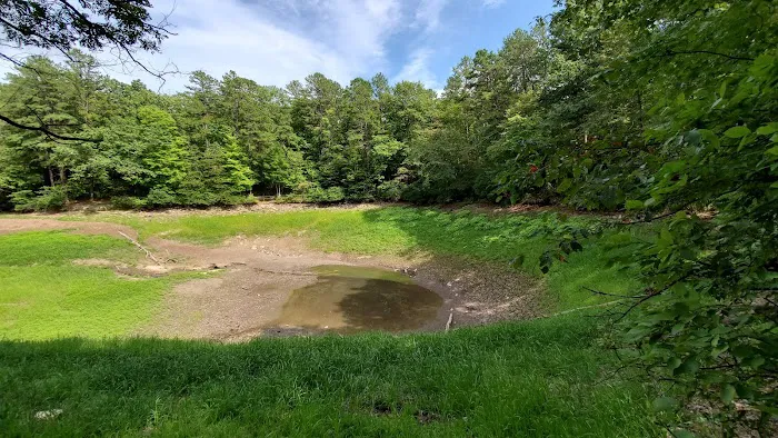 Trout Pond Campground 10