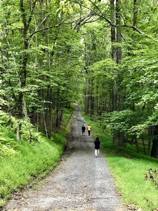 Trout Pond Campground 7