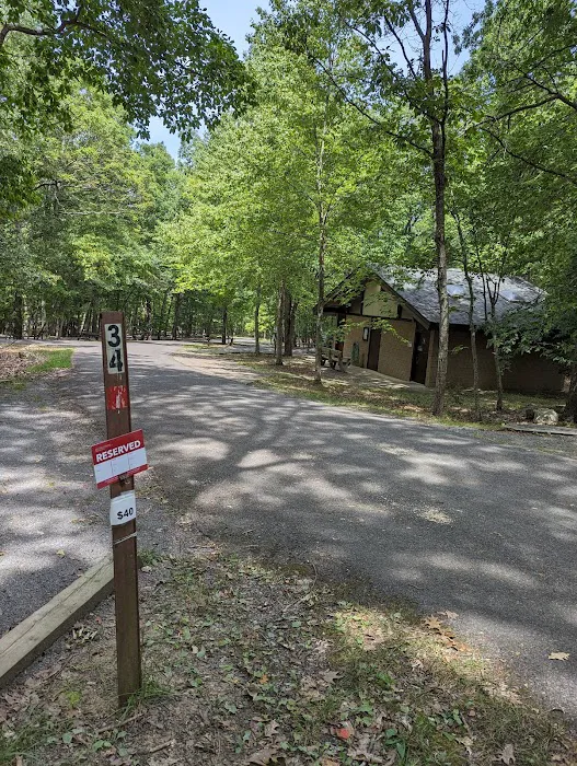 Trout Pond Campground 8