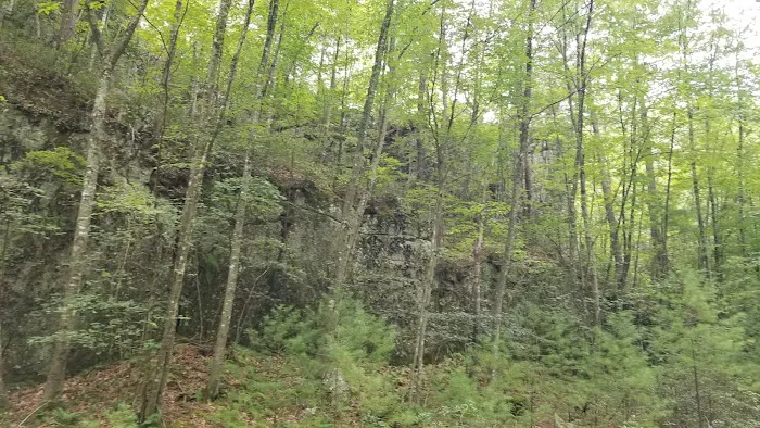Trout Pond Campground 9