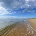 First Landing State Park Campground