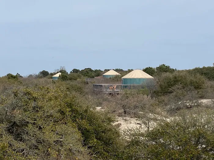 First Landing State Park Campground 7