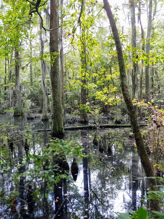 First Landing State Park Campground 9