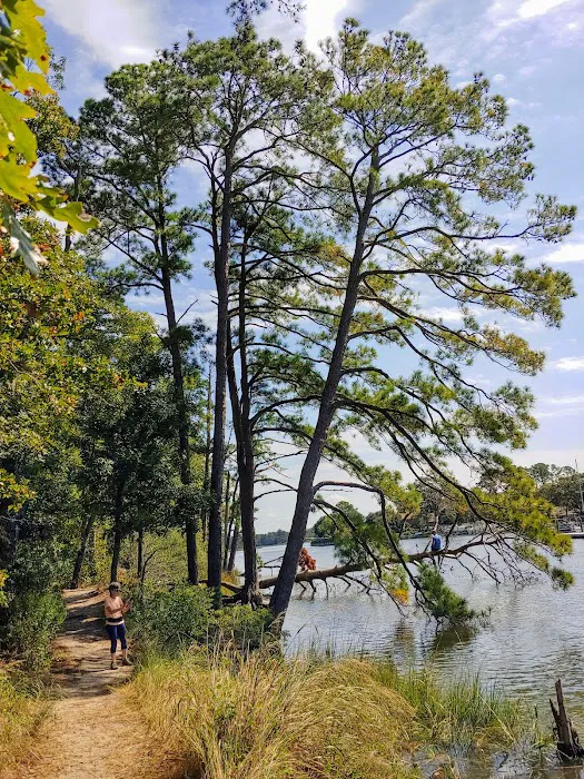 First Landing State Park Campground 8