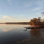 Chickahominy wildlife Management